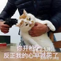 闲鱼永久封号对淘宝有影响吗,闲鱼被封号会导致淘宝封号吗