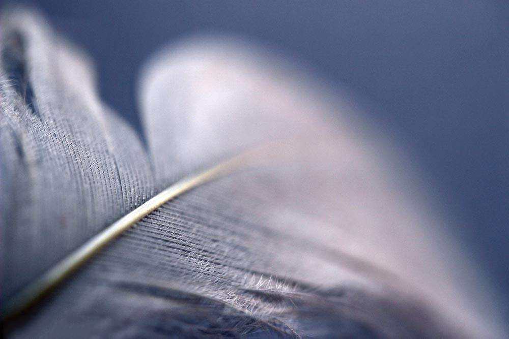 什么是设计比较,什么是设计到底