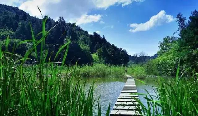 西安哪些景区要免费了,西安哪些景区是免费