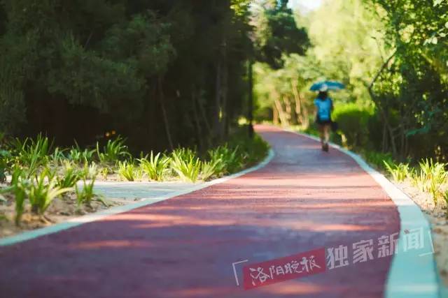 洛阳新增游园,洛阳正在建设的新景区