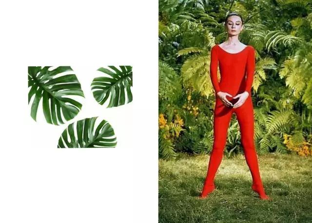 奥黛丽赫本的时代以什么为美,奥黛丽赫本优雅永不过时视频