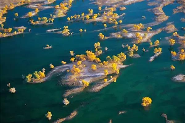 三千年的情缘,三千年的企盼只为这一季的金秋(附攻略)