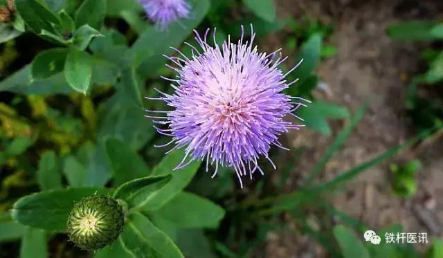 古今中医方剂学,古今药功奇术大全