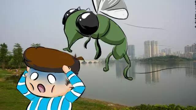 古天乐四大毒虫,古天乐为什么每个赛季都打六战神