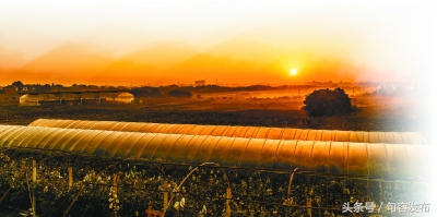 中国句容第十届丁庄葡萄节,中国江苏句容第十届丁庄葡萄节