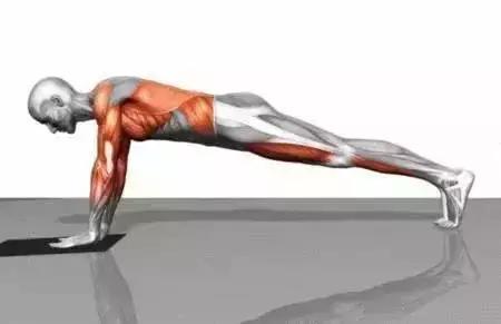 坚持一个月平板支撑会有什么变化,坚持练平板支撑身材有什么变化