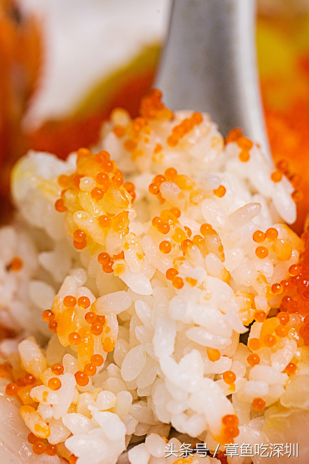 日式蟹肉刺身盖饭,300元一碗的日本刺身盖饭