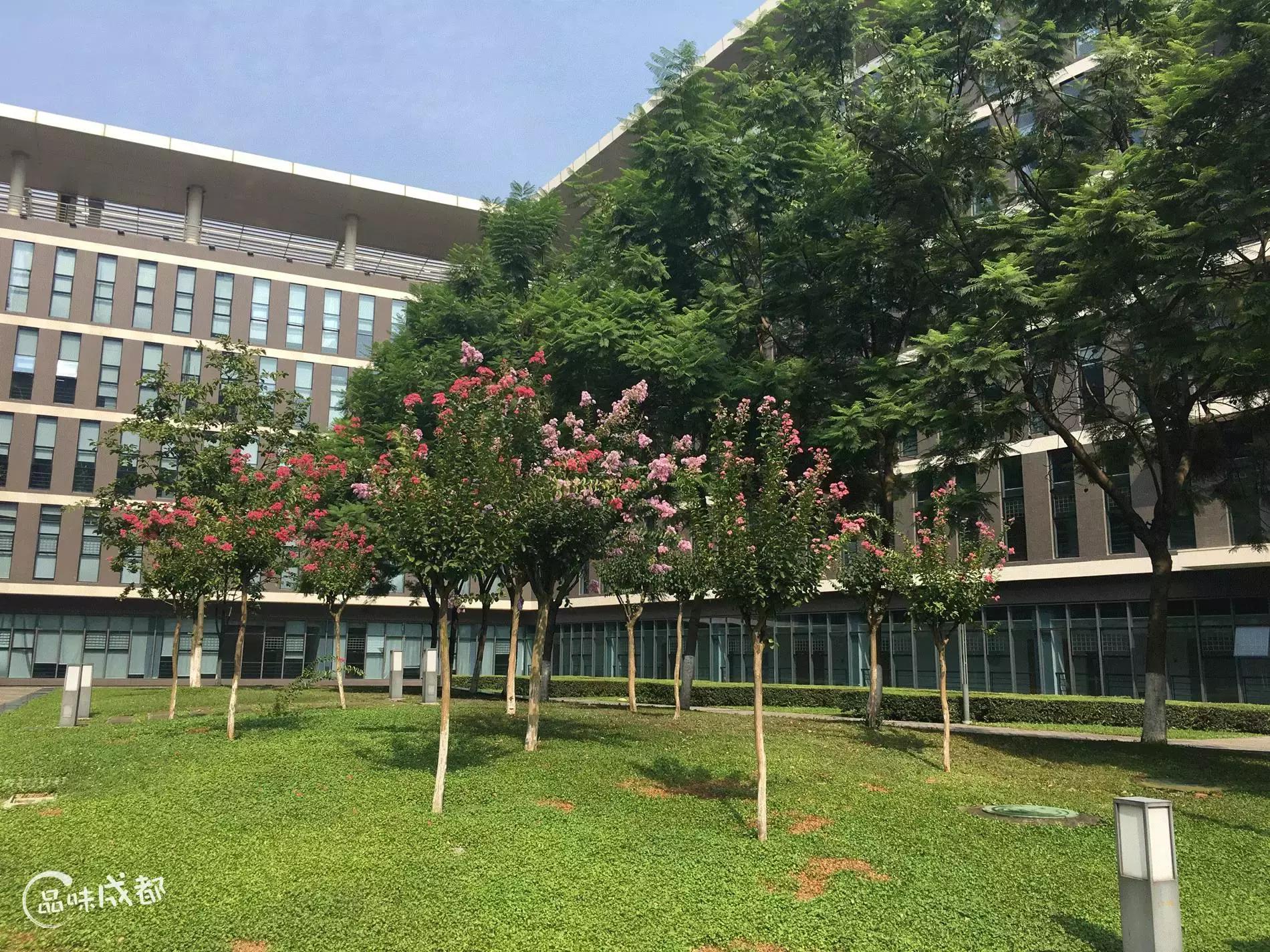 在成都程序猿心中,软件园才是宇宙的中心!