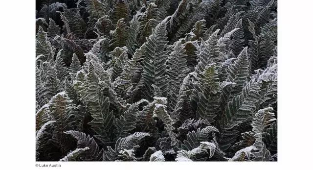 尼康d850点测光技巧,尼康d850价格曲线图