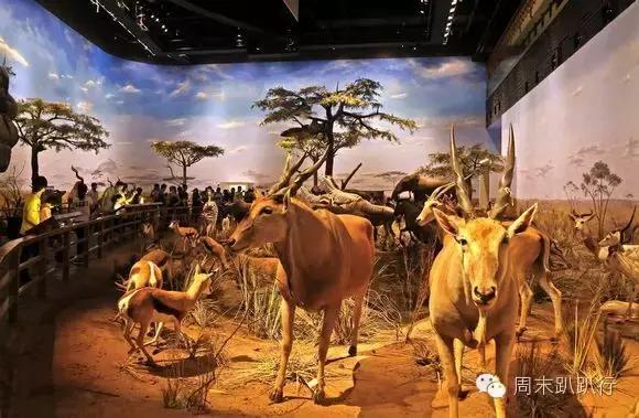 上海迪士尼私家车停车攻略,广州到上海迪士尼乐园攻略