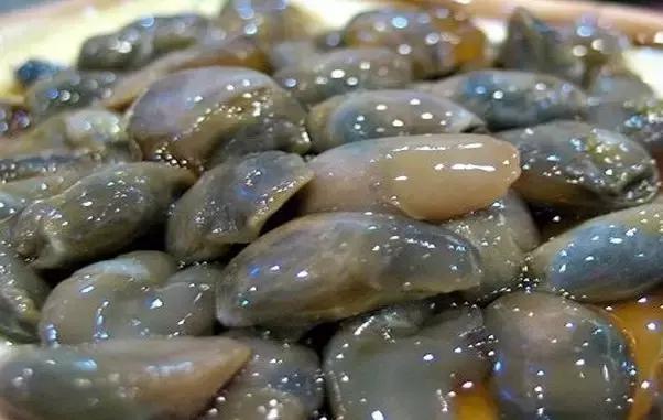 又到吃海蛎子的季节,又到了吃海鲜的季节生蚝