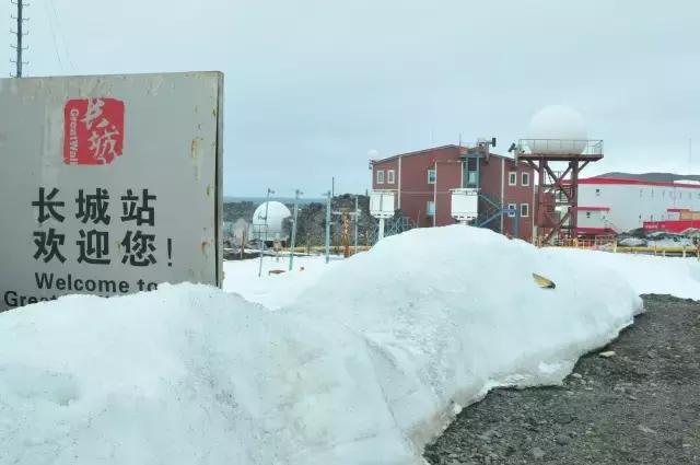 阿里巴巴员工连去十趟南极景色壮美企鹅在腿上睡着