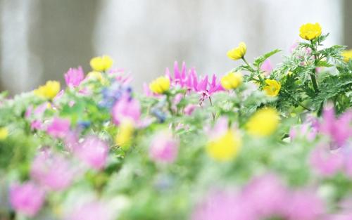 法律应该如何学习,怎样学法律最快