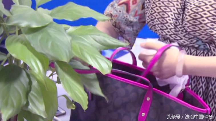 涉案超130万警方抓捕现场曝光 (警方抓获女诈骗犯现场)