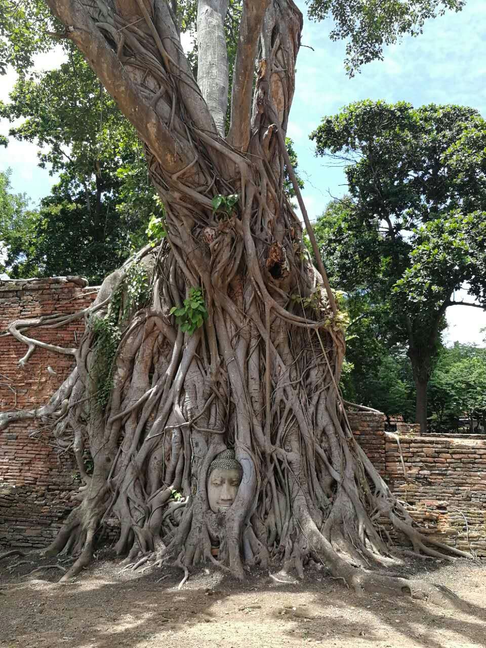 7月泰国旅行攻略大全图片,泰国旅游7天自由行攻略