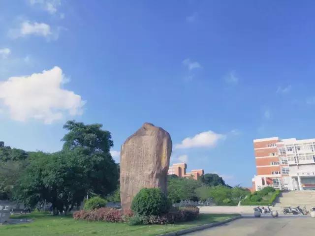 未来东海发展潜力,未来的东海岛怎样