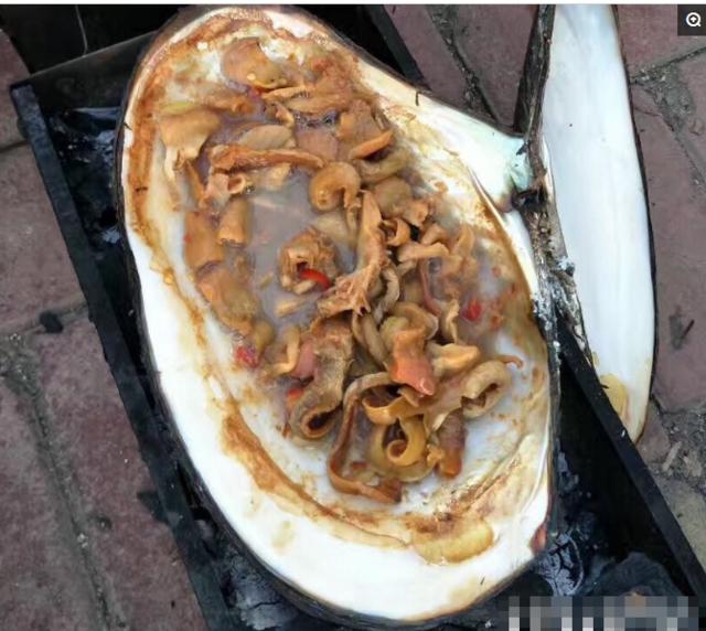 谁见过这么大的河蚌,世上最大的河蚌六斤重能出多少肉