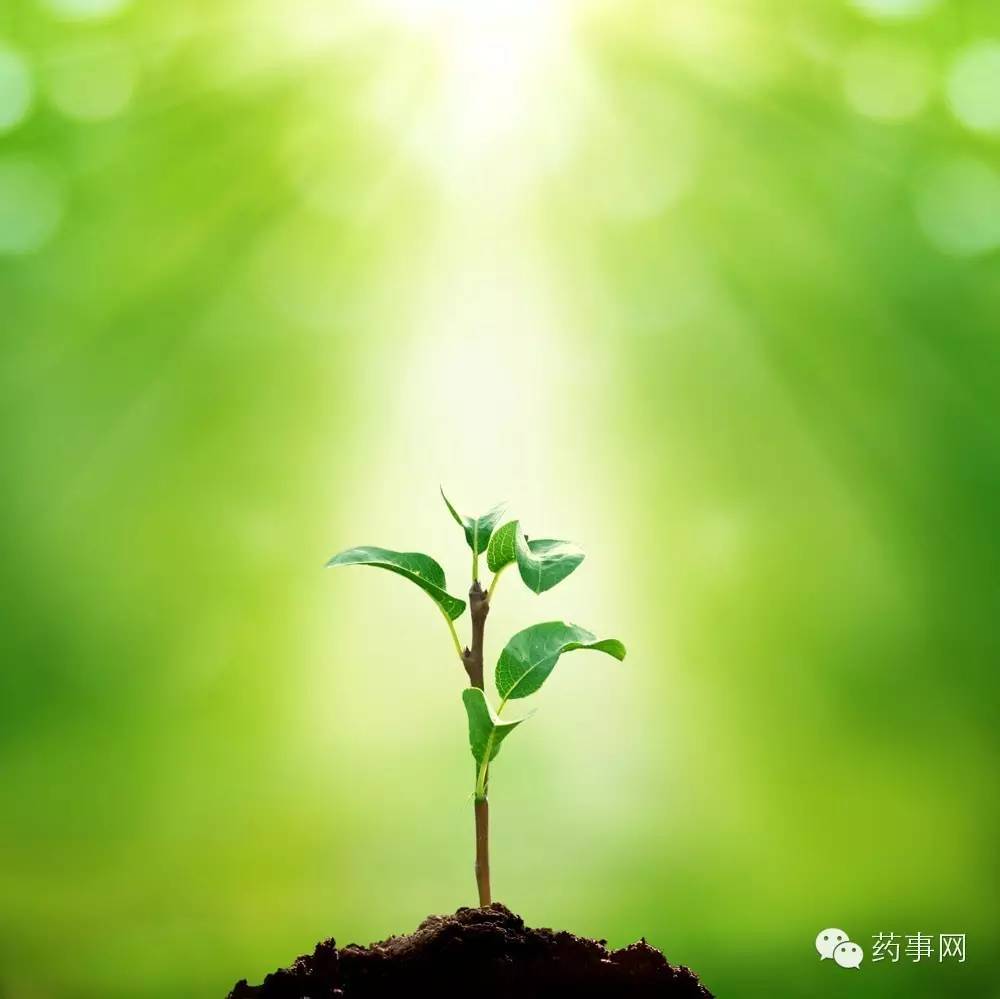 提高孩子免疫力的药物,提高口腔免疫力的药物