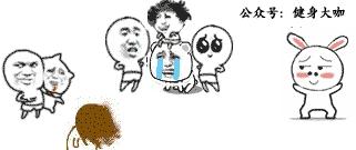 看完这篇文章的感悟,怎样跑步不伤膝盖看完这篇就够了