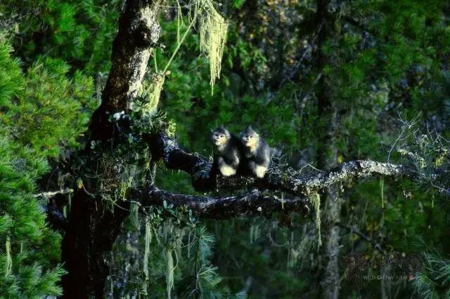 奚志农的作品,奚志农做客东方甄选