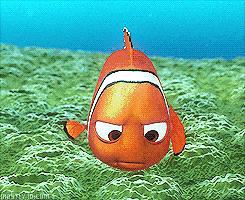 盘点各个国家的疯狂动物城,盘点疯狂动物城隐藏细节