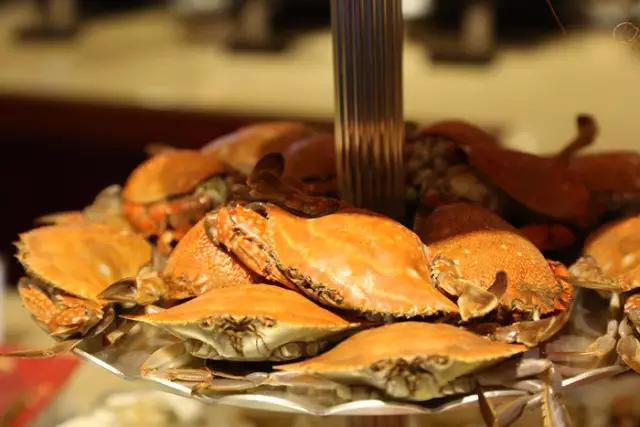 一个资深吃货的每一天,合肥好吃的自助餐排行榜前十名