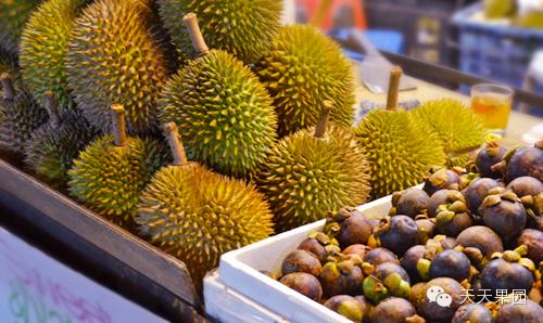 山竹都有哪些问题,山竹的秘密你知道多少