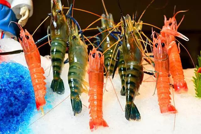 厦门海鲜姿造优惠,厦门悦鼎会海鲜自助