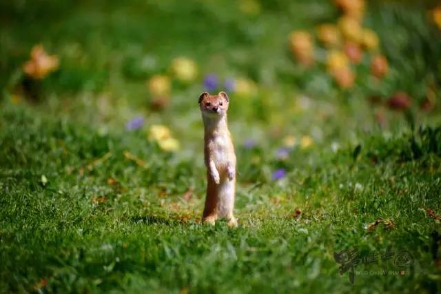 奚志农的作品,奚志农做客东方甄选