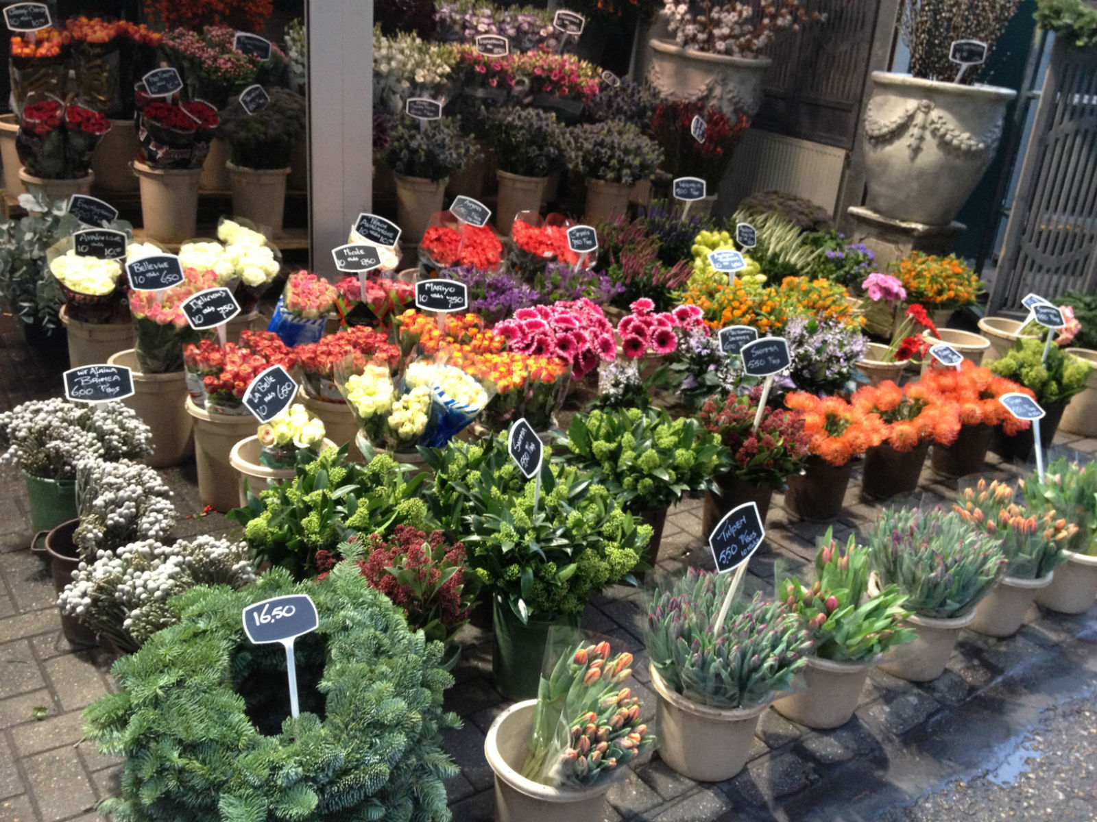 花卉市场发展方向,几个90后赚一百万