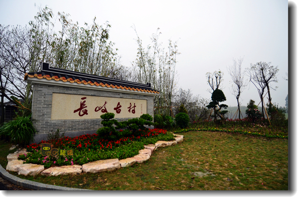 十二道锋味谢霆锋潮汕牛肉,十二道锋味隆苑咖啡谢霆锋