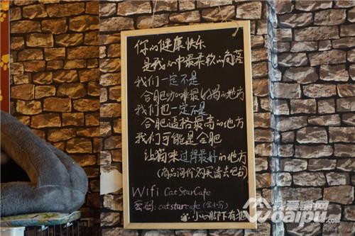 合肥潮店：喵星CatStar匆忙赶路不如蹲下撸猫