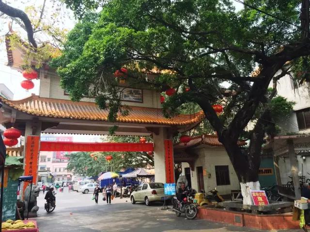 东坑远远不止*身卖**节，“地头蛇”带你一天玩尽东坑！