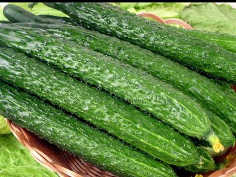 夏天到了容易长痱子如何处理,夏天痱子怎么治好得快