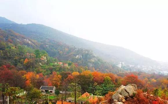 杩炰簯娓競鏃呮父鏅偣澶у叏,杩炰簯娓競鏃呮父骞村崱2021鏅偣