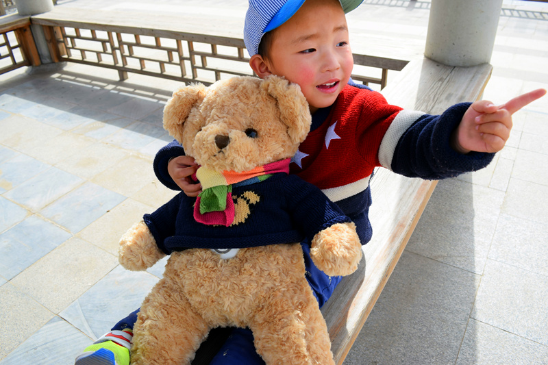 呆萌小熊蓝色,呆萌小熊所有视频