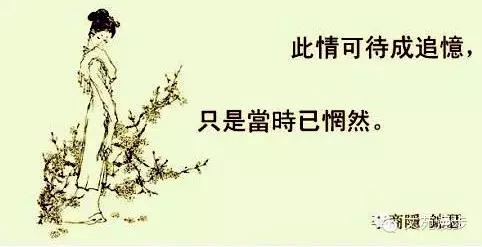 高泪点的小说短篇,泪点高短篇小说