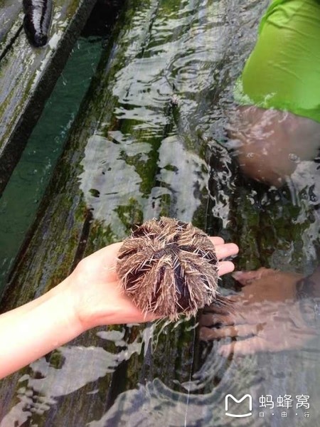 一起去三亚旅游就是最好的陪伴,三亚攻略自由行情侣