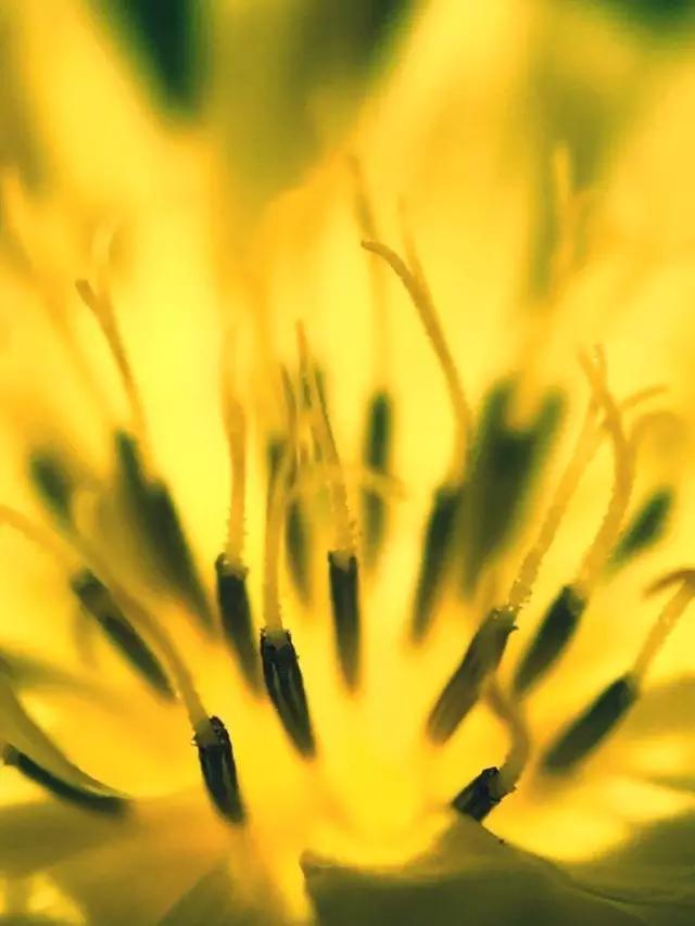 CMPA|2016年3月17日编辑推荐作品