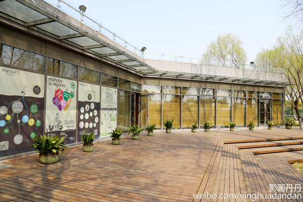 牵着小手去旅行,牵着小手去旅游