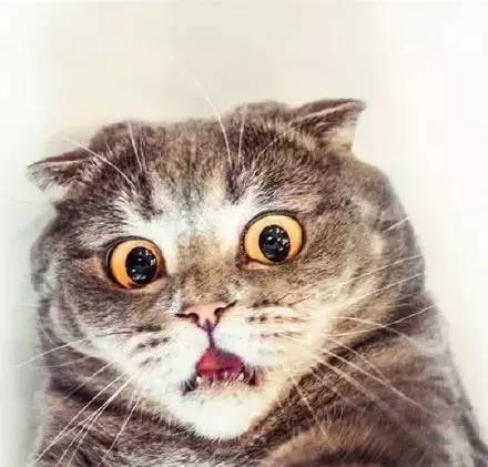 把中甲当欧冠踢！“银河战舰”天津权健全面解析