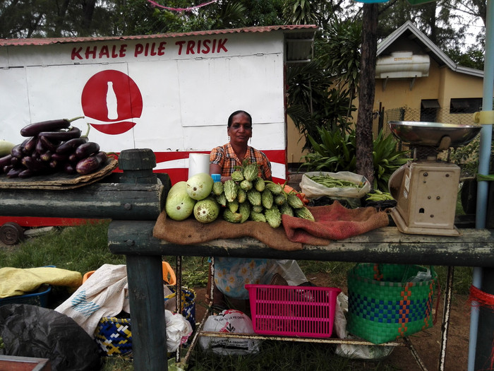 毛里求斯自由行旅游攻略,毛里求斯七天游