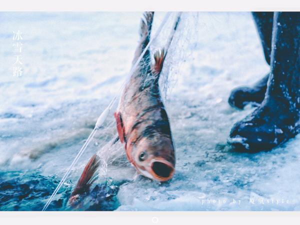 牧马少年歌曲完整版,牧马少年草原