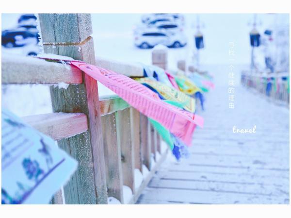 牧马少年歌曲完整版,牧马少年草原