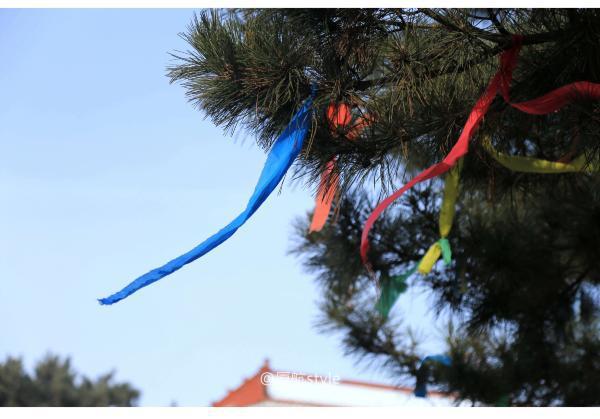 牧马少年歌曲完整版,牧马少年草原