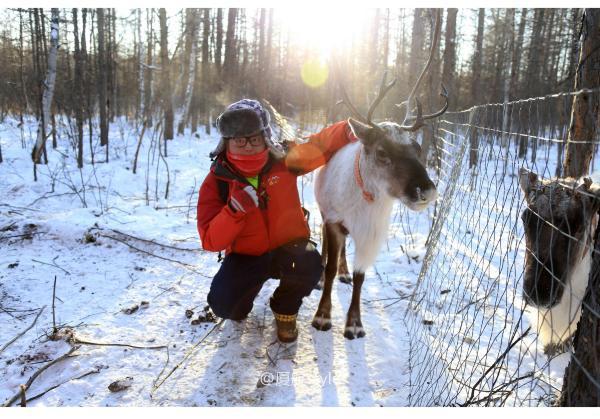 牧马少年歌曲完整版,牧马少年草原