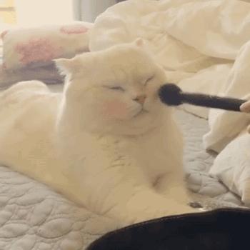 洗面奶千千万你选对了吗,洗面奶不可以选哪种