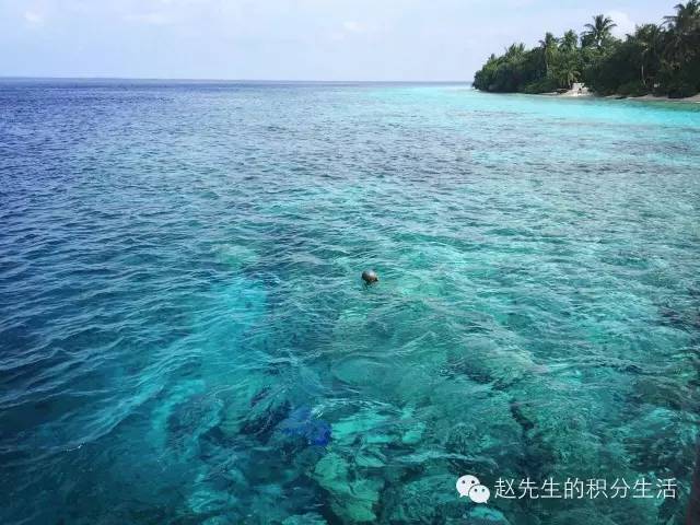 希尔顿积分兑换住宿有积分吗,如何通过积分入住希尔顿