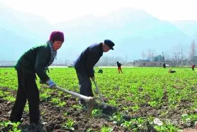 新闻资讯我县春耕春播热火朝天,春耕忙新闻