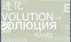 数码宝贝新番51-60标题,数码宝贝tri终章奥米加兽